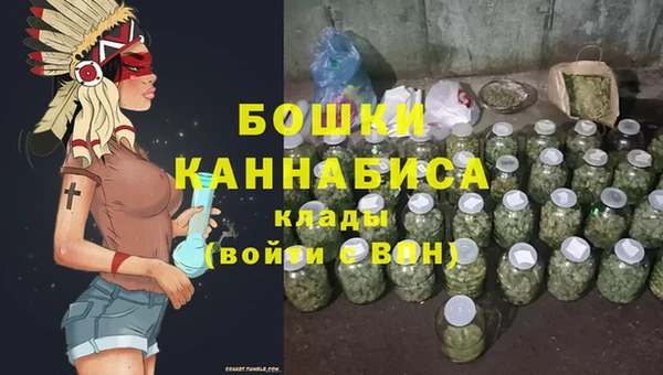 индика Балахна