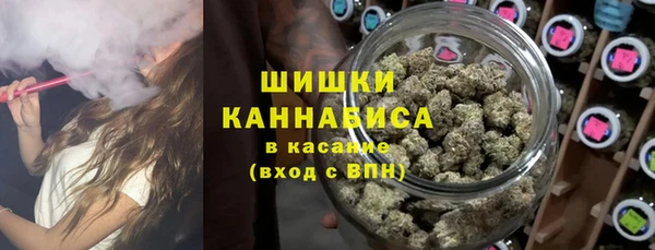 первитин Михайлов